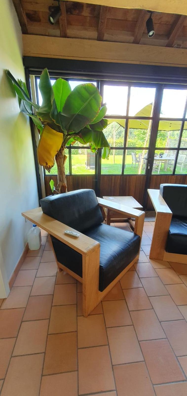 Hof Ter Dreef Acomodação com café da manhã Meise Exterior foto